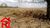 Terreno, 4670 m² - Foto 3