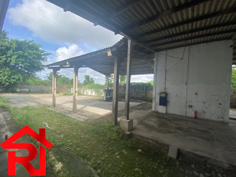 Depósito-Galpão, 5000 m² - Foto 14