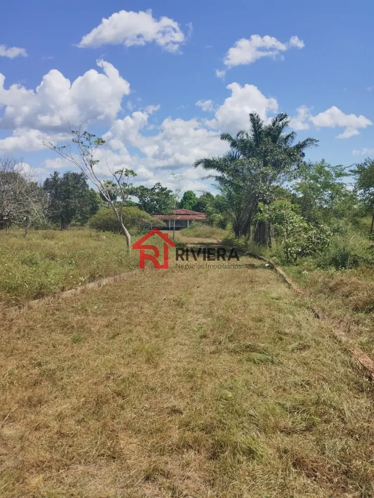 Fazenda - Foto 4