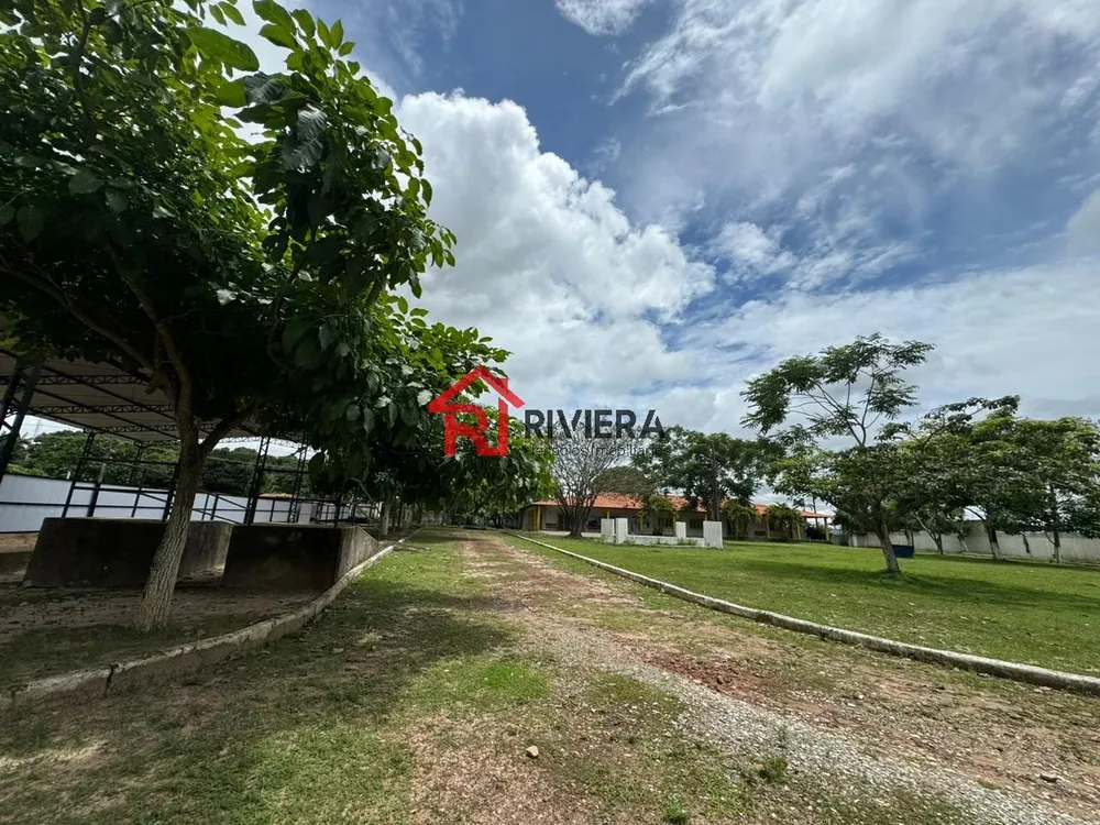 Fazenda - Foto 12