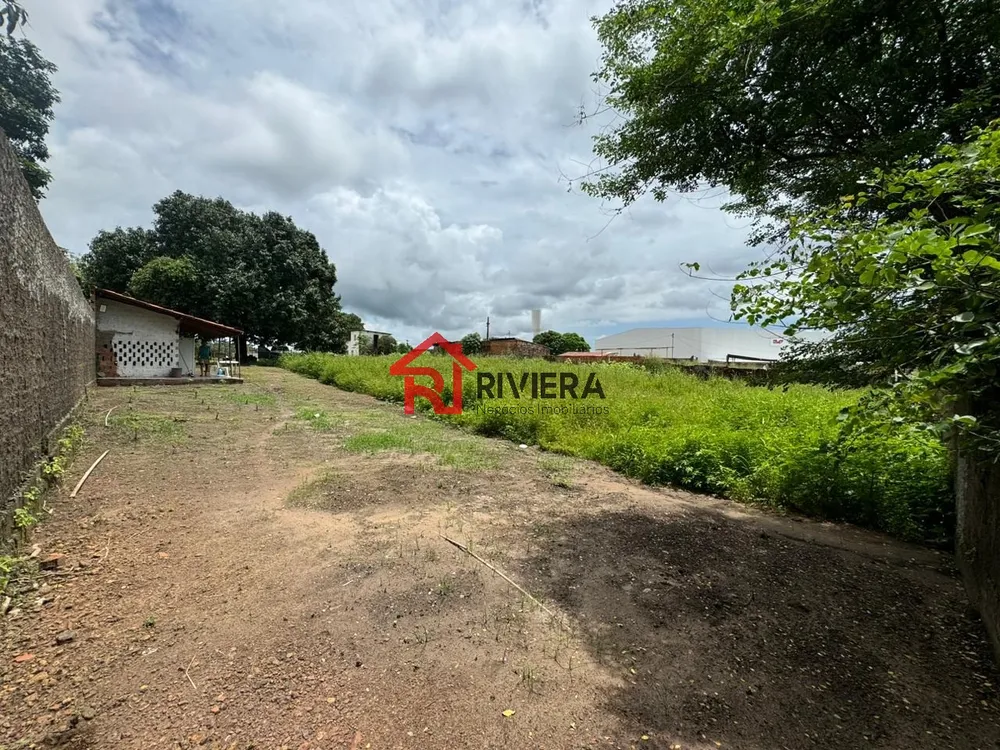 Fazenda - Foto 6