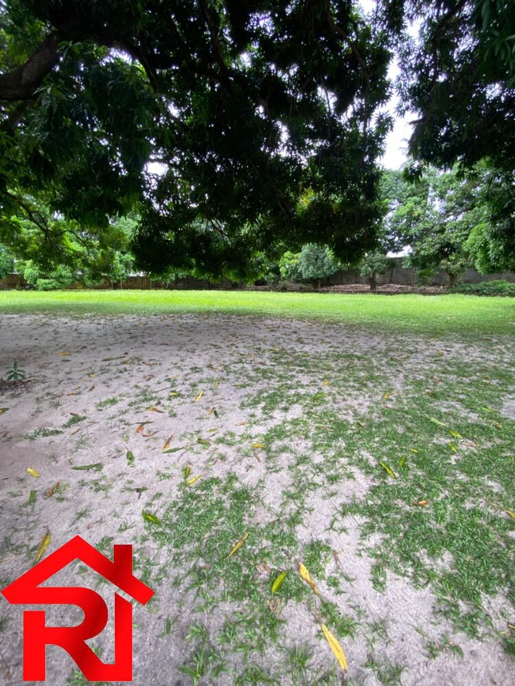 Terreno, 4296 m² - Foto 4