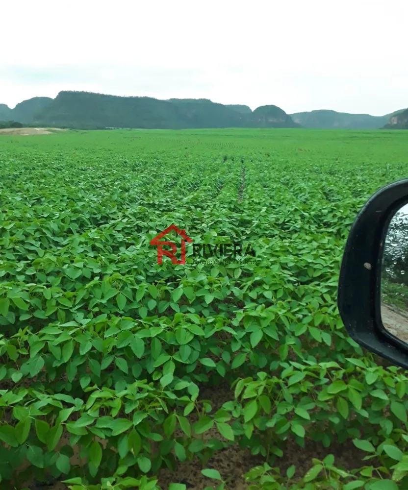 Fazenda - Foto 11