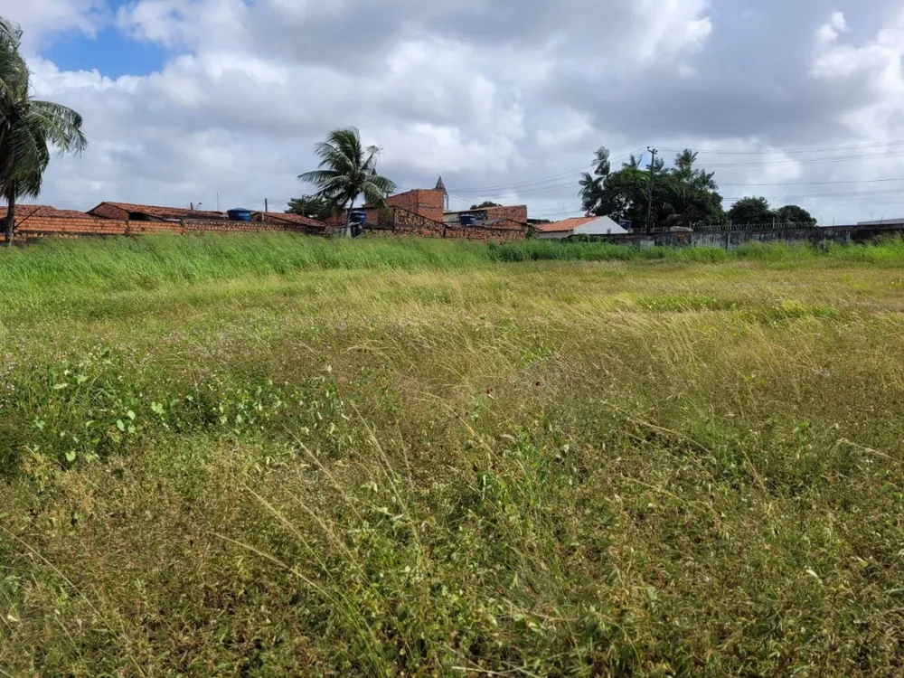 Depósito-Galpão, 15000 m² - Foto 4