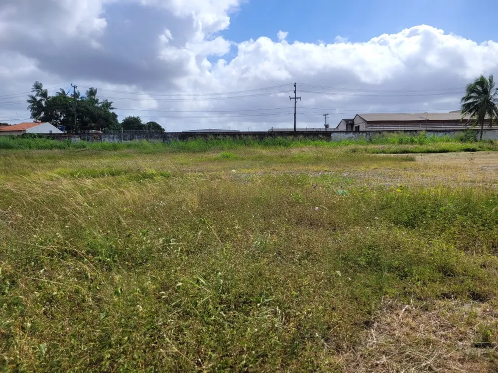 Depósito-Galpão, 15000 m² - Foto 3