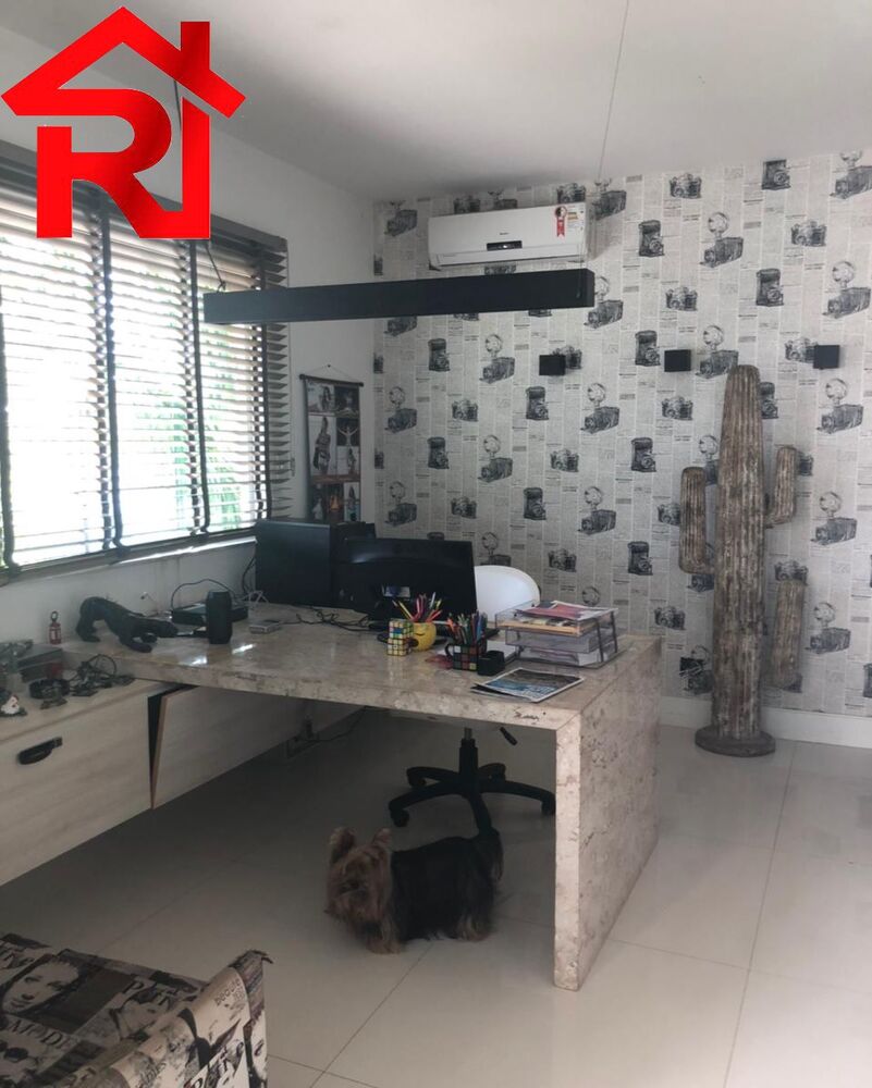 Casa, 5 quartos, 450 m² - Foto 4