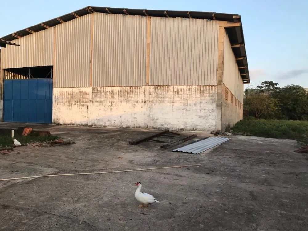 Depósito-Galpão, 12000 m² - Foto 13