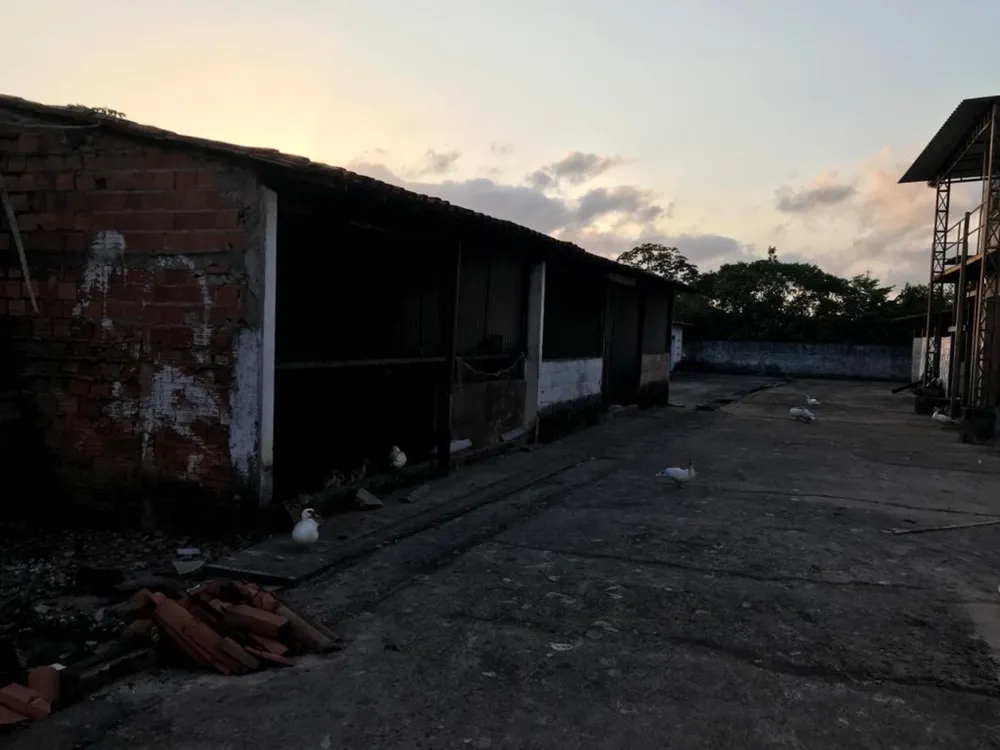 Depósito-Galpão, 12000 m² - Foto 12