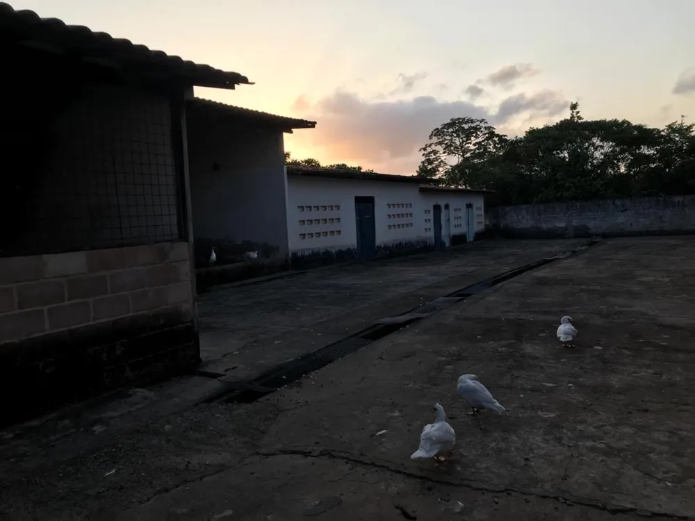 Depósito-Galpão, 12000 m² - Foto 15