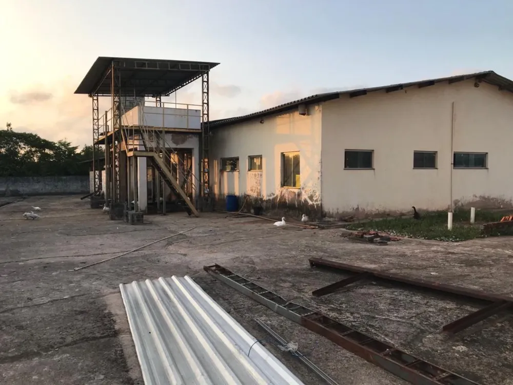Depósito-Galpão, 12000 m² - Foto 10