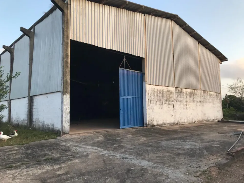 Depósito-Galpão, 12000 m² - Foto 14
