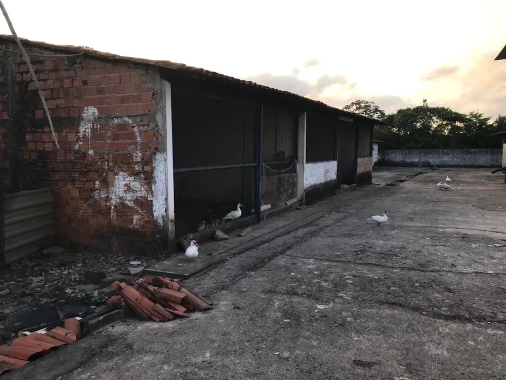 Depósito-Galpão, 12000 m² - Foto 11