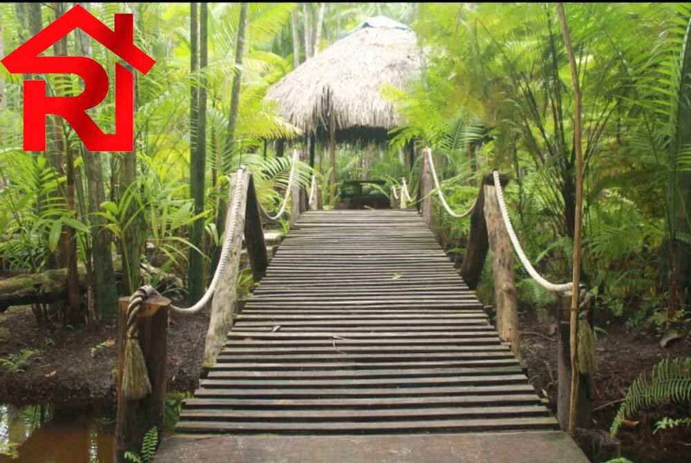Chácara, 15 quartos - Foto 2