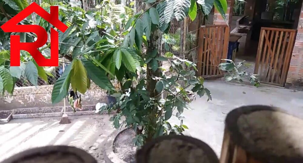 Chácara, 15 quartos - Foto 6