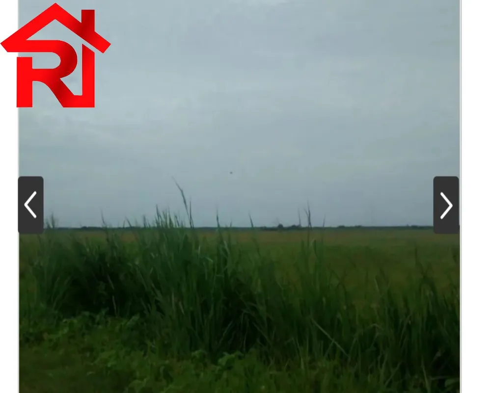 Fazenda - Foto 2