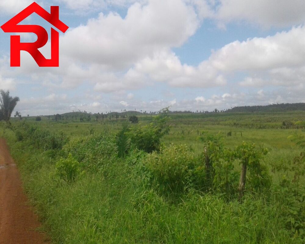 Fazenda - Foto 6