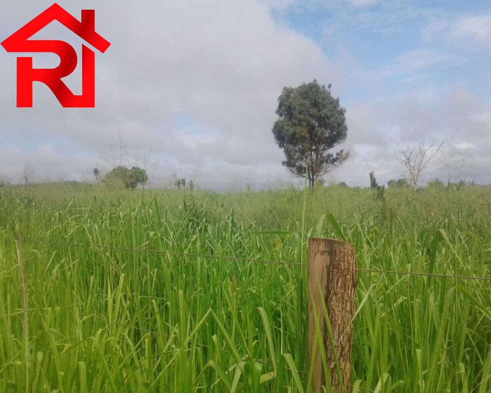 Fazenda - Foto 8