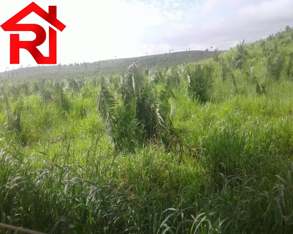 Fazenda - Foto 7