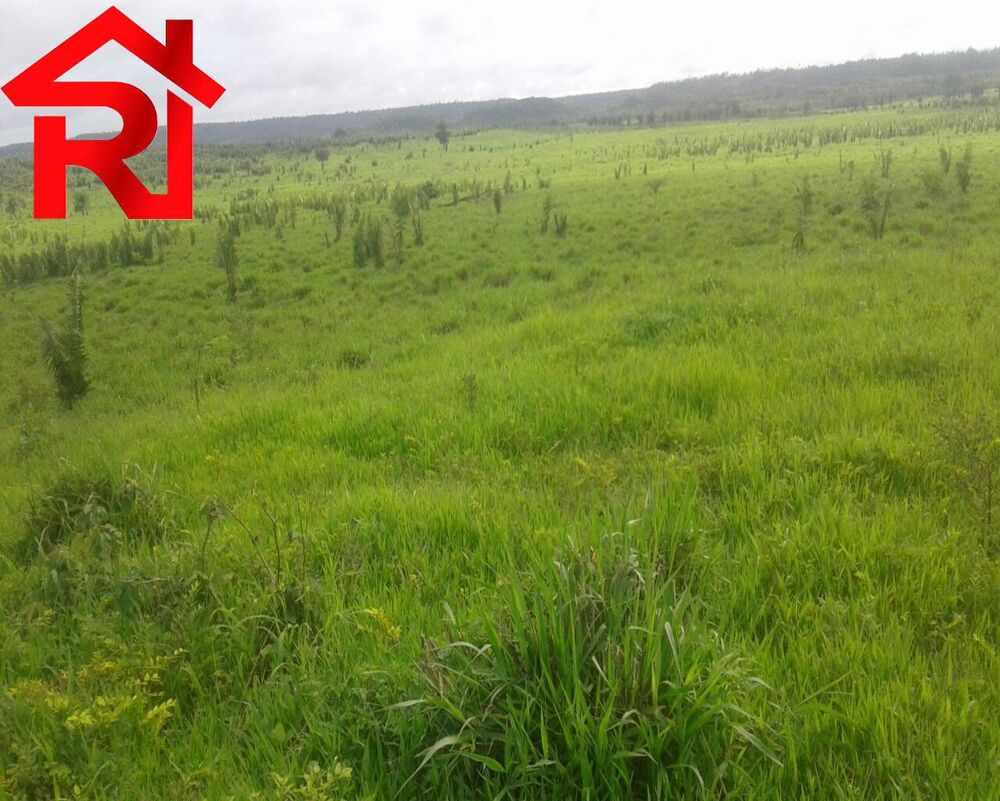 Fazenda - Foto 17