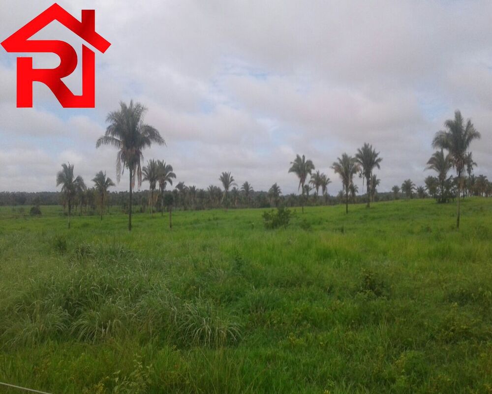 Fazenda - Foto 1