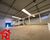 Depósito-Galpão, 800 m² - Foto 3