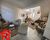 Casa, 5 quartos, 360 m² - Foto 2