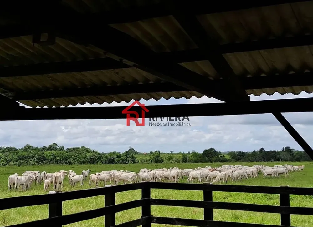 Fazenda - Foto 12
