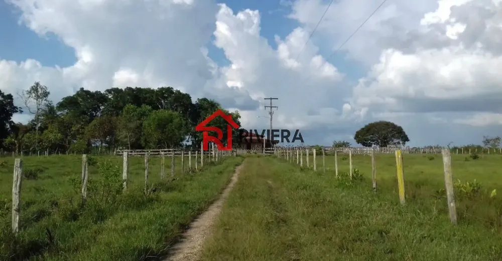 Fazenda - Foto 11