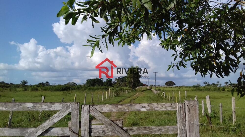 Fazenda - Foto 2