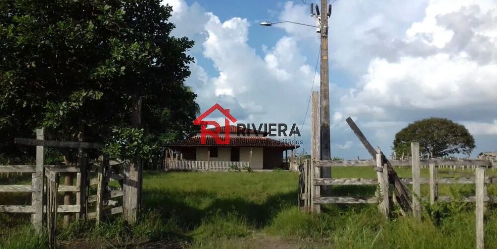 Fazenda - Foto 8