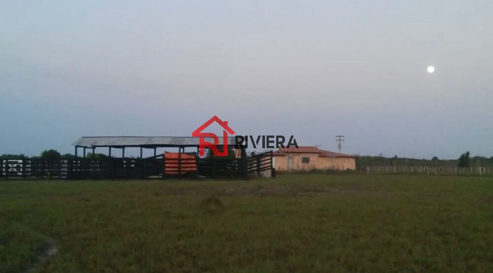 Fazenda - Foto 7