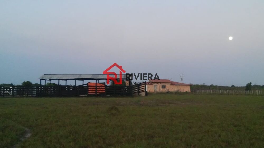 Fazenda - Foto 1
