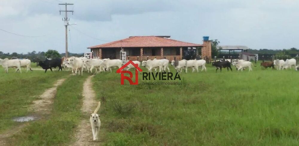 Fazenda - Foto 6