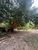 Terreno, 11588 m² - Foto 5