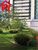 Apartamento, 3 quartos, 156 m² - Foto 5