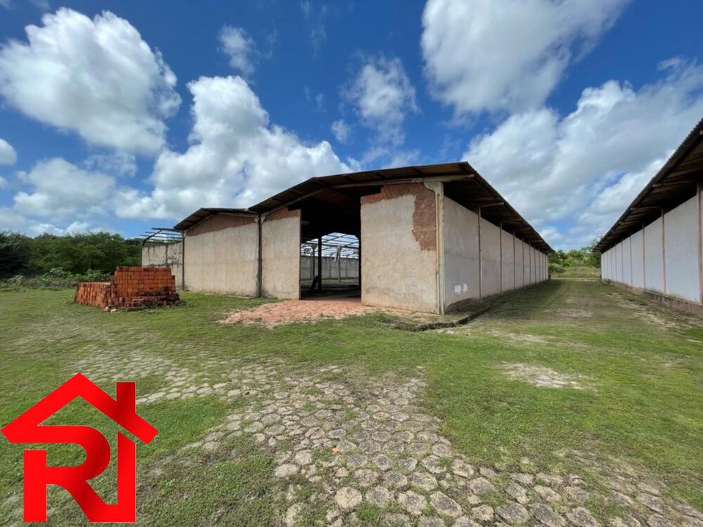 Depósito-Galpão-Armazém à venda, 10260m² - Foto 2