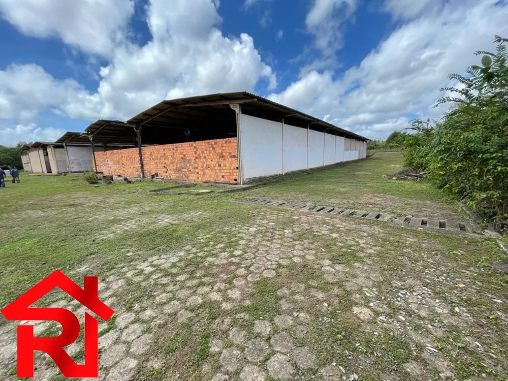 Depósito-Galpão, 10260 m² - Foto 7
