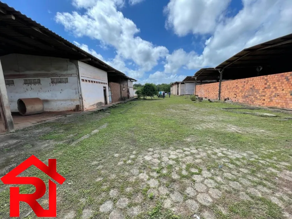 Depósito-Galpão, 10260 m² - Foto 3