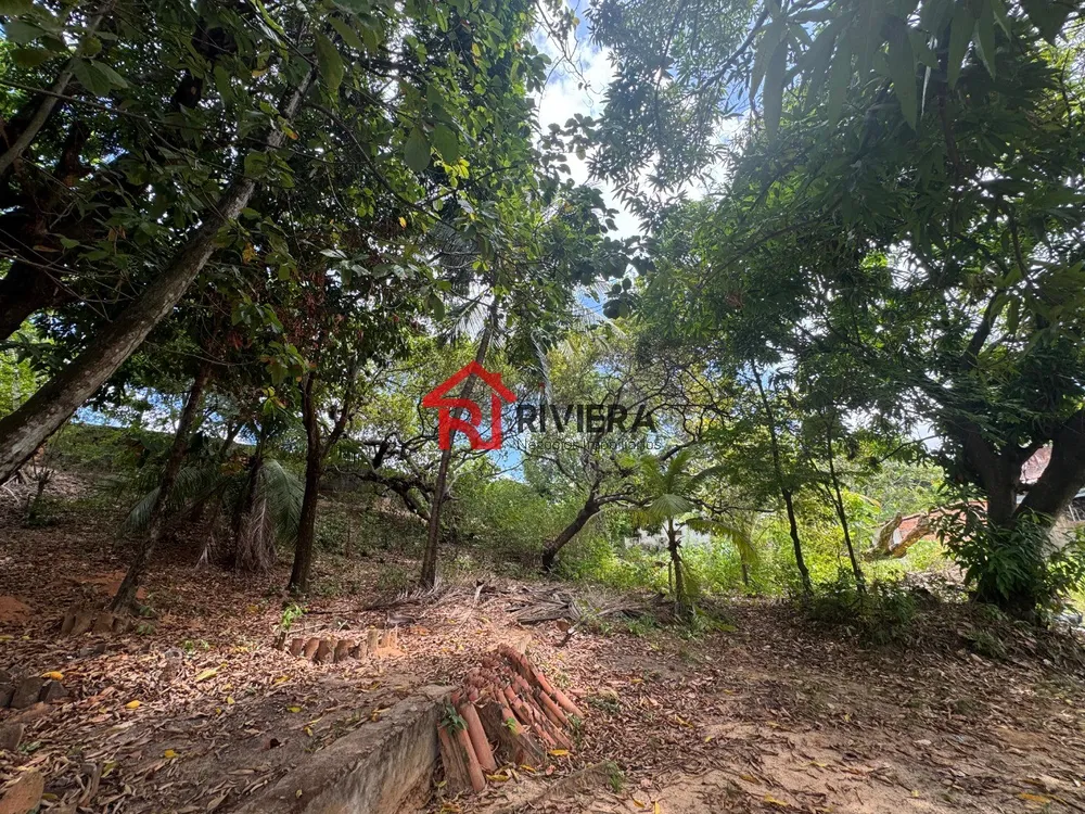 Terreno, 7481 m² - Foto 11