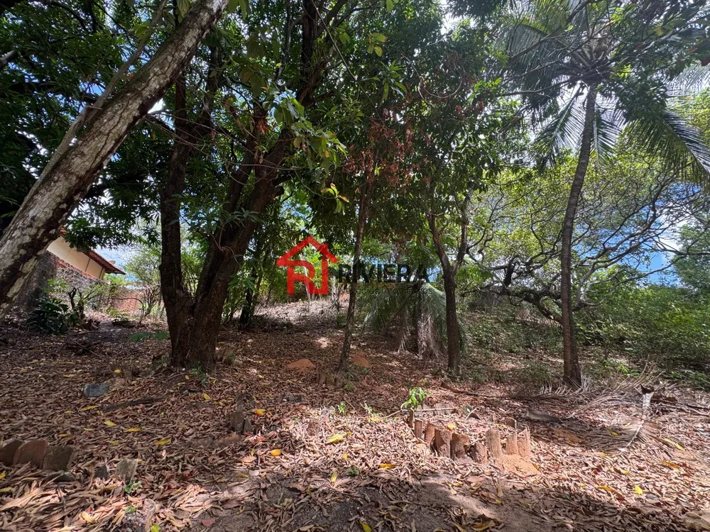 Terreno, 7481 m² - Foto 3