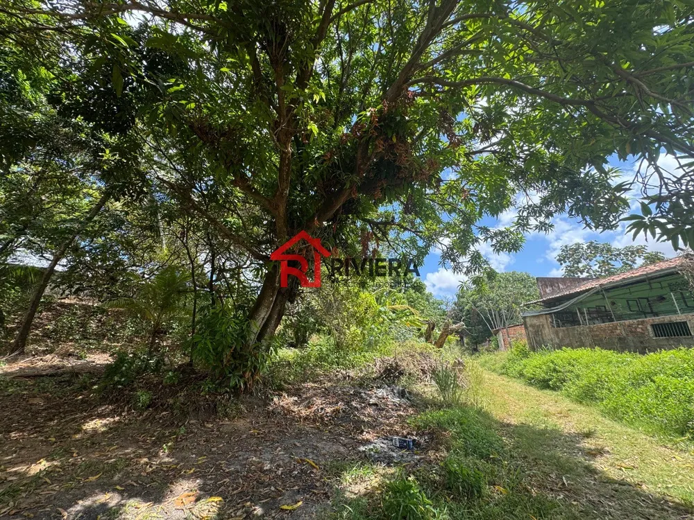 Terreno, 7481 m² - Foto 10