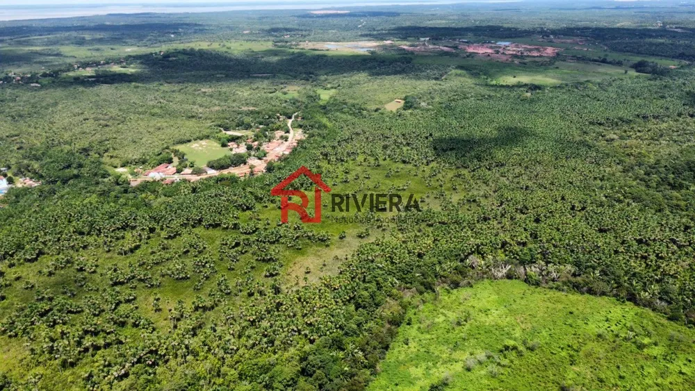 Fazenda - Foto 4