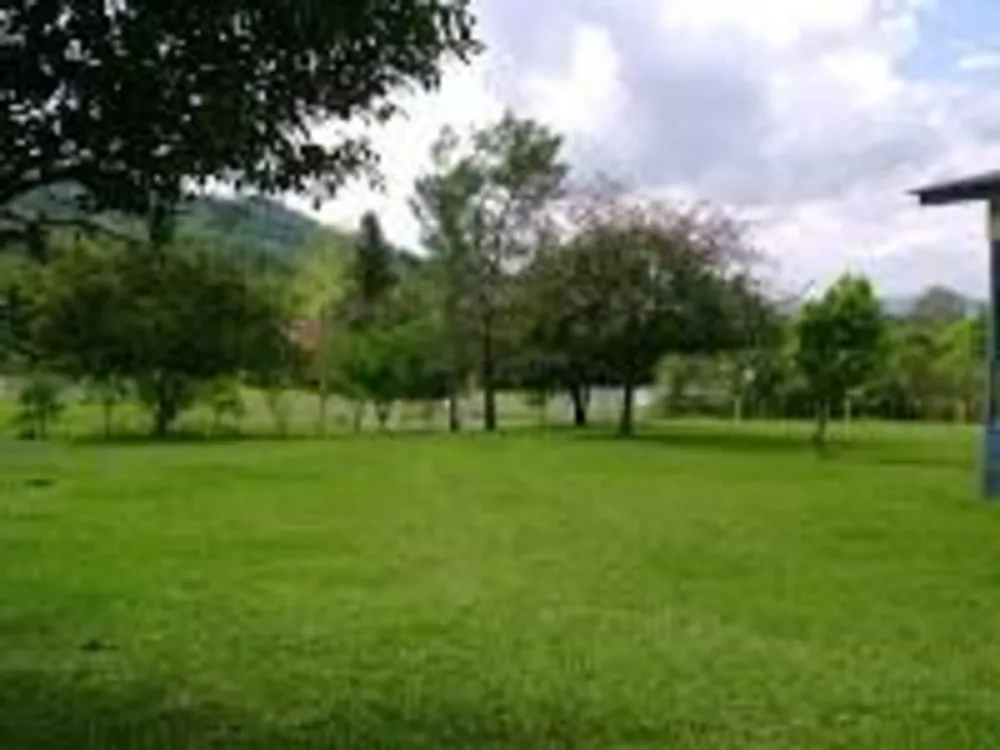 Cobertura, 4 quartos, 240 m² - Foto 8