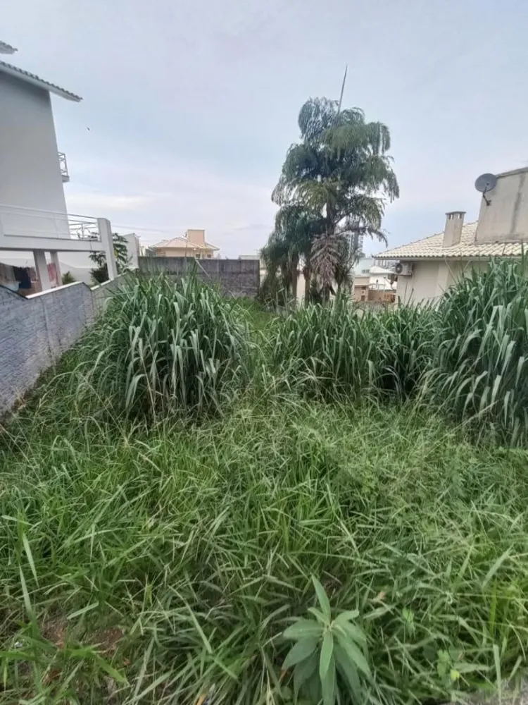 Terreno, 360 m² - Foto 3