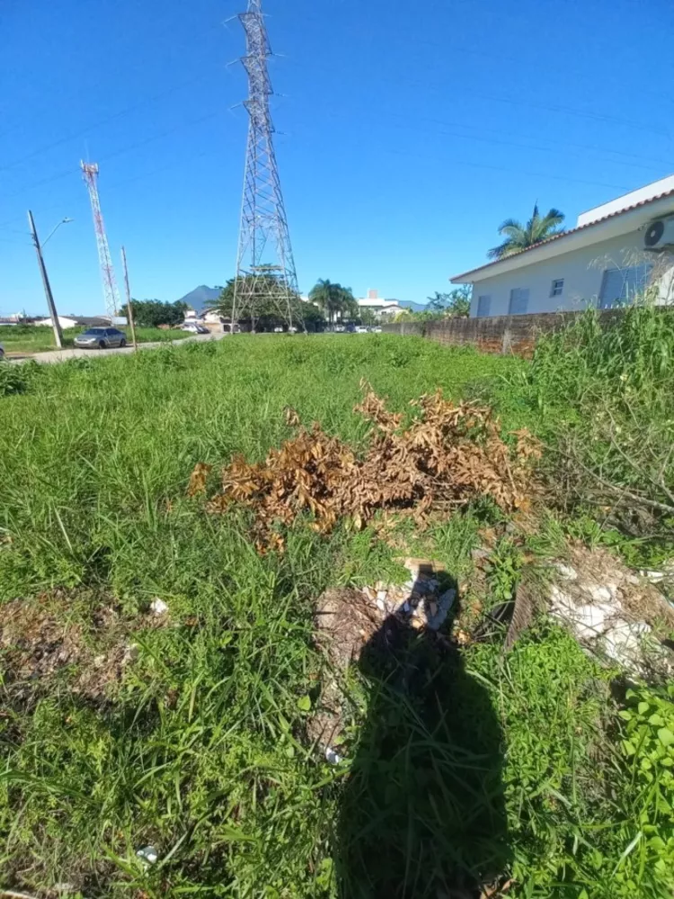 Terreno, 561 m² - Foto 8