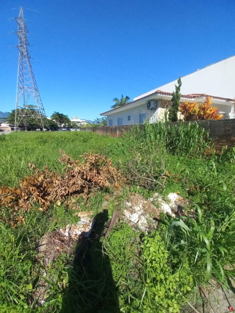 Terreno, 561 m² - Foto 3