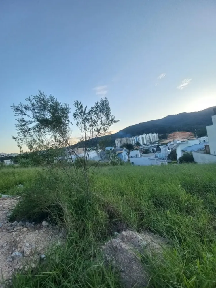 Terreno, 415 m² - Foto 3