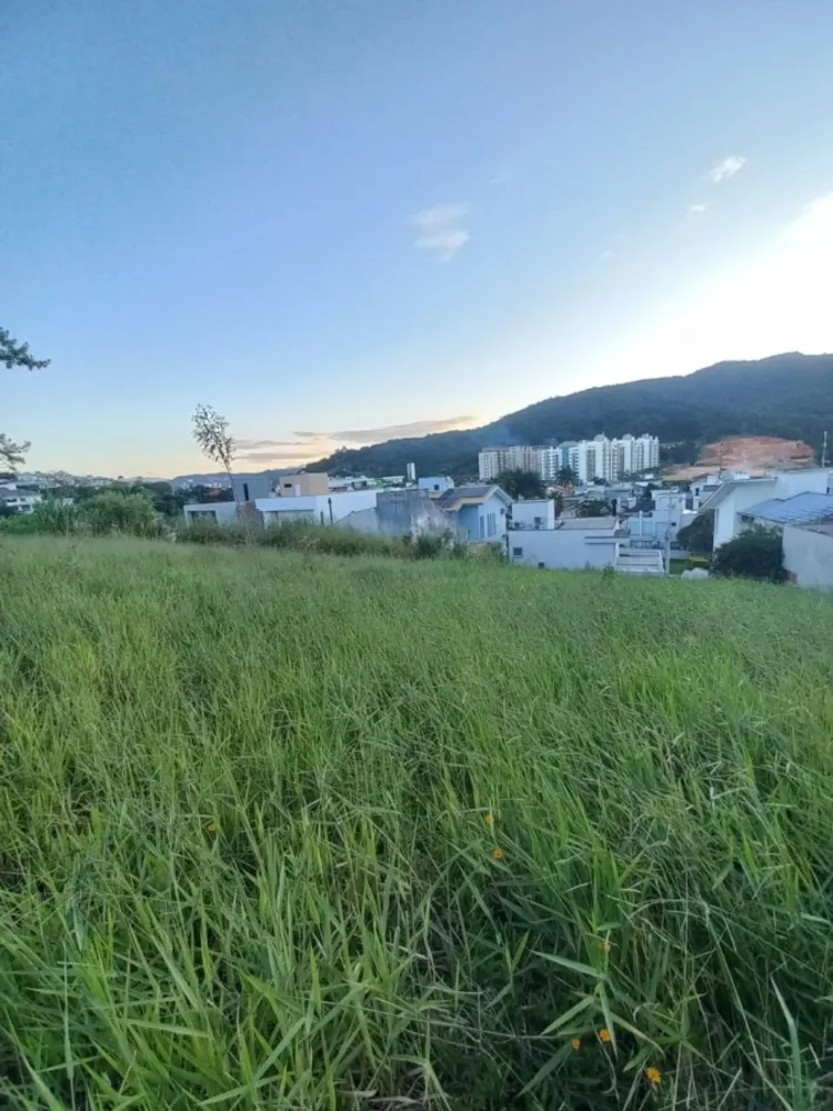 Terreno, 415 m² - Foto 4