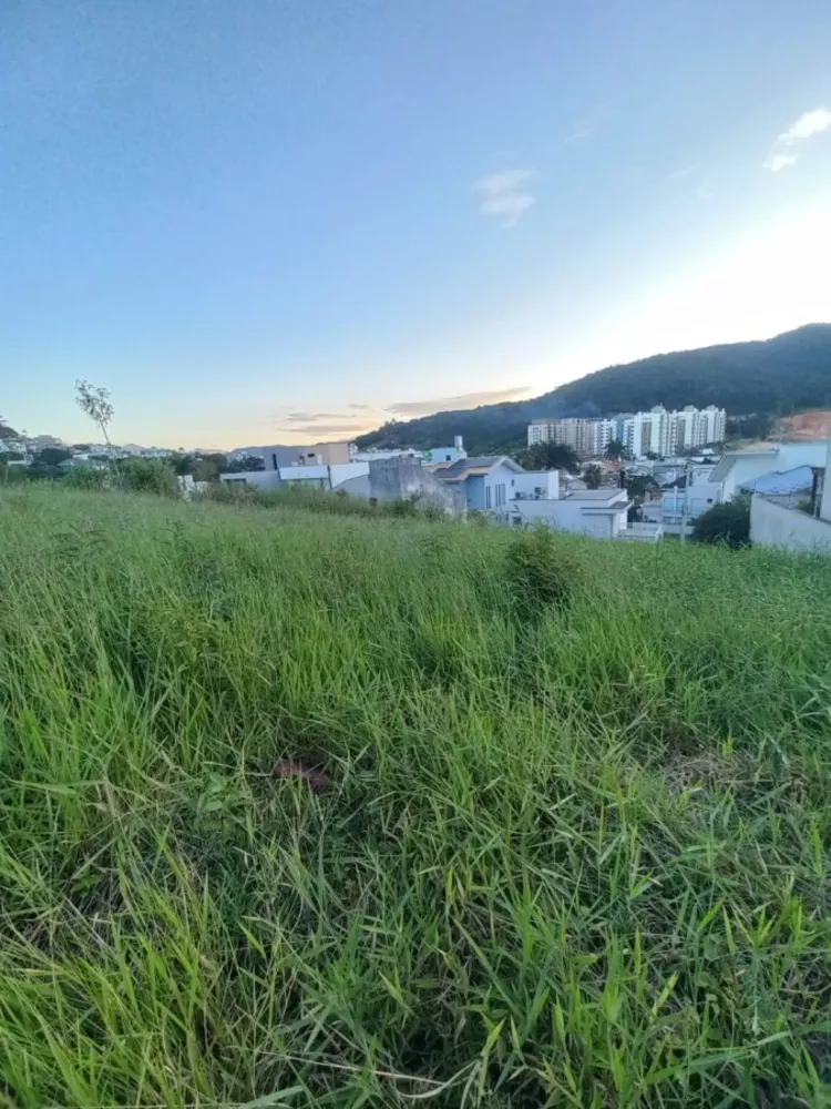 Terreno, 415 m² - Foto 2
