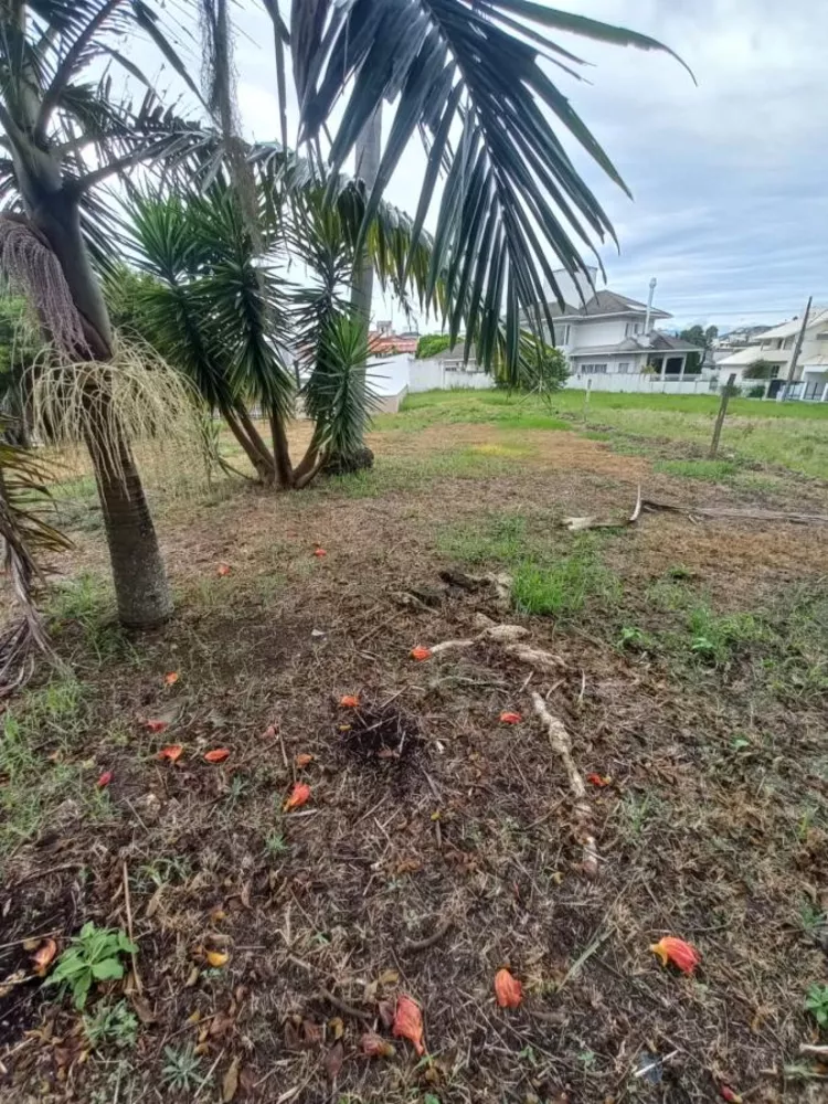 Terreno, 450 m² - Foto 8